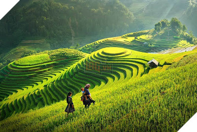 MSI 2019 - Ngoài các tuyển thủ sẽ tới Việt Nam chúng ta còn chào đón hàng loạt phóng viên và Caster nổi tiếng trên khắp thế giới 5