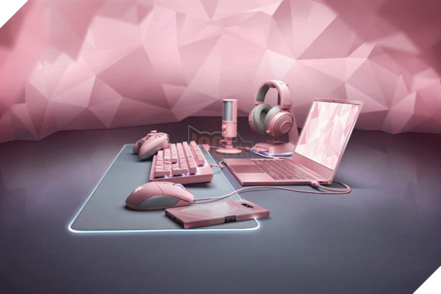 Razer Blade Stealth Quartz Pink Edition chỉ là một món trong bộ gear Quartz Pink mà thôi. Nguồn: Internet.