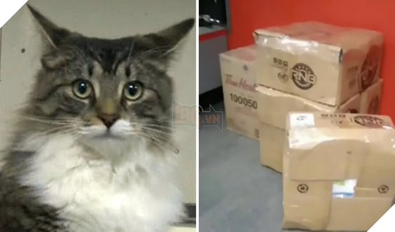 
Đây là nhân vật chính trong câu chuyện!