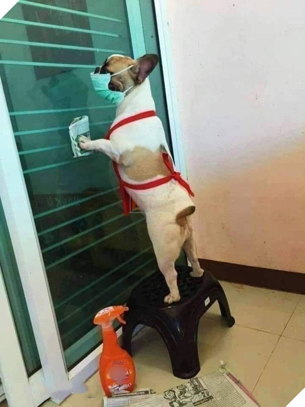 Đang yên đang lành tự dưng Tết!
Đang yên đang lành tự dưng Tết!