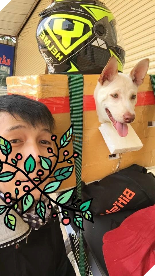 Không thể nhịn cười trước 101 biểu cảm về quê ăn Tết của boss Không thể nhịn cười trước 101 biểu cảm về quê ăn Tết của boss