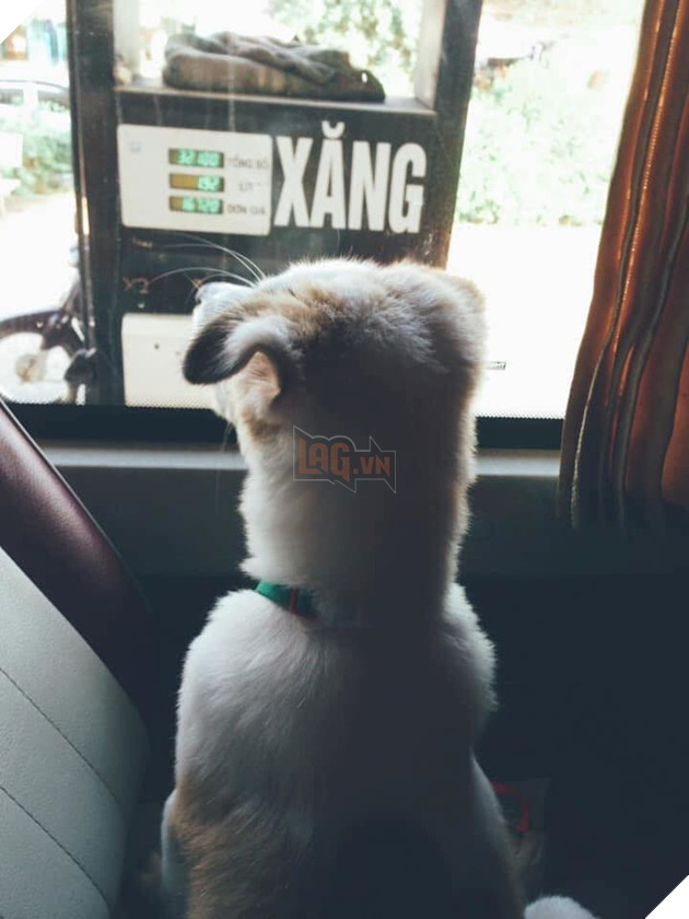 Thôi Tết nhất đi xe khách cho an toàn, lại còn đỡ bụi bặm nữa.
Thôi Tết nhất đi xe khách cho an toàn, lại còn đỡ bụi bặm nữa.
