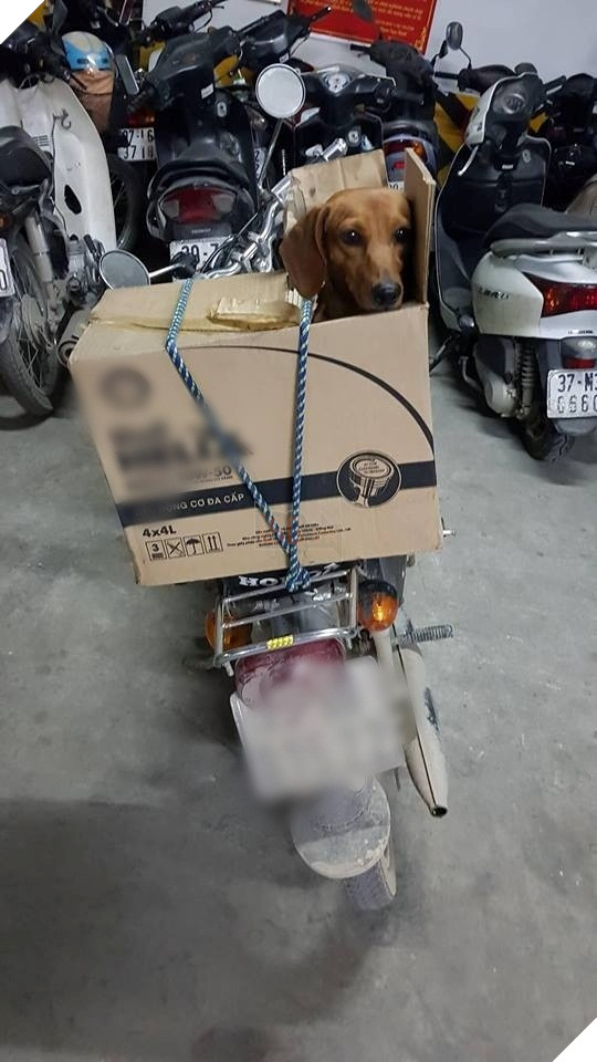 Ủa mắc gì cãi nhau. Không thích thì ngồi thùng như tụi tao nè.
Ủa mắc gì cãi nhau. Không thích thì ngồi thùng như tụi tao nè.
