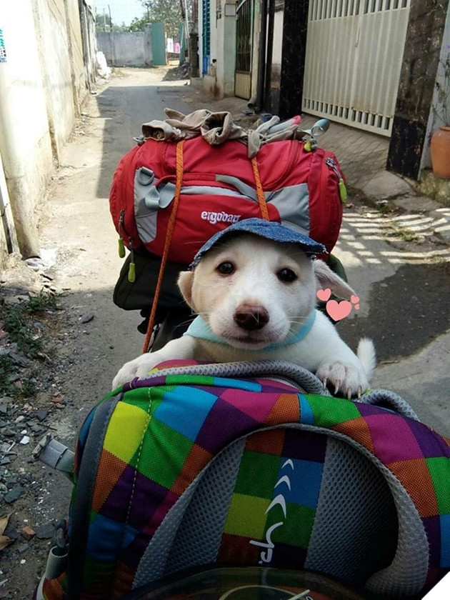 Đường xa lắm, phải mũ nón, khẩu trang, khăn choàng cẩn thận mới được.
Đường xa lắm, phải mũ nón, khẩu trang, khăn choàng cẩn thận mới được.