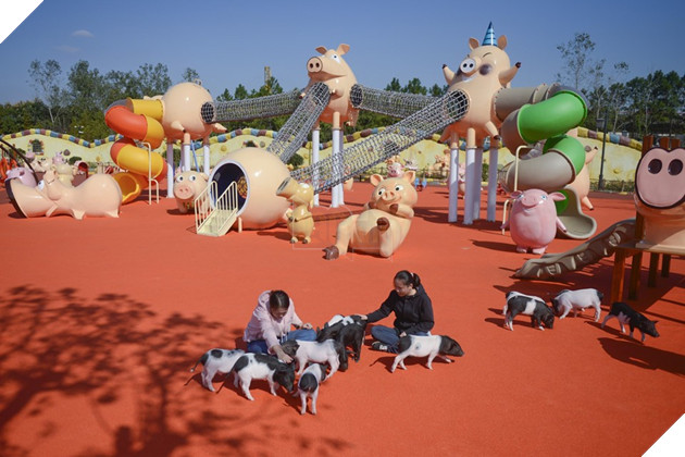 Tết Kỷ Hợi không biết đi đâu chơi, mời ghé thăm công viên Hành tinh Lợn ở Trung Quốc - Ảnh 2.