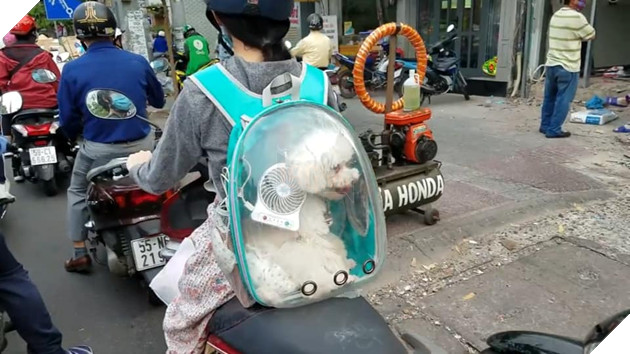 Muôn kiểu 'boss' theo chân 'sen' về quê ăn Tết: 'Đứa' lần đầu đi tàu, 'đứa' mặc bỉm lên xe