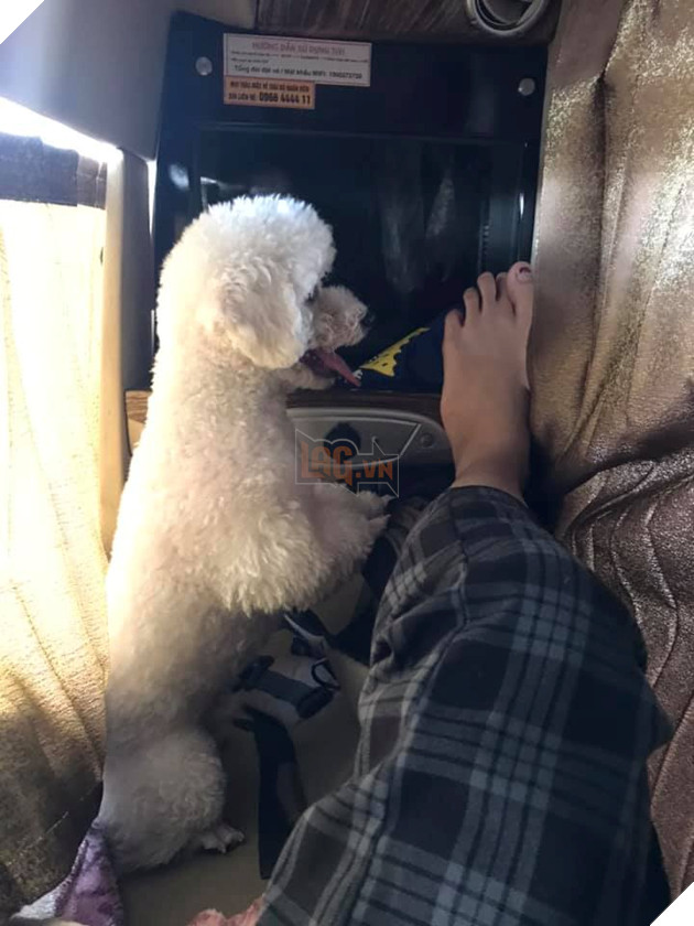 Muôn kiểu 'boss' theo chân 'sen' về quê ăn Tết: 'Đứa' lần đầu đi tàu, 'đứa' mặc bỉm lên xe