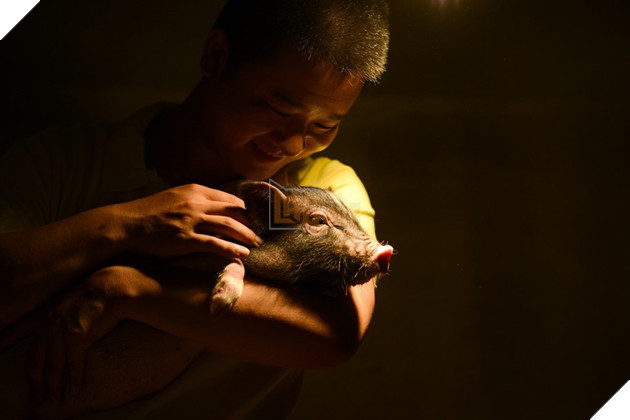 Tết Kỷ Hợi không biết đi đâu chơi, mời ghé thăm công viên Hành tinh Lợn ở Trung Quốc - Ảnh 11.