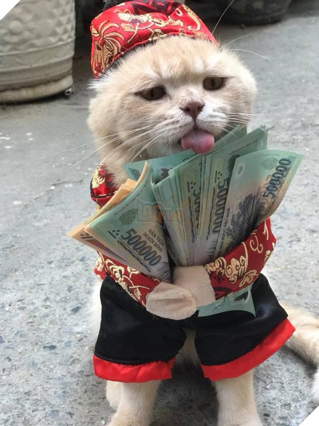 Bộ mặt hờn dỗi của các boss khi năm nay bị thất thu tiền lì xì - Ảnh 1. Bộ mặt hờn dỗi của các boss khi năm nay bị thất thu tiền lì xì - Ảnh 1.