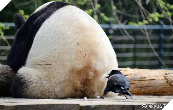 
Khẽ thôi, khẽ thôi!