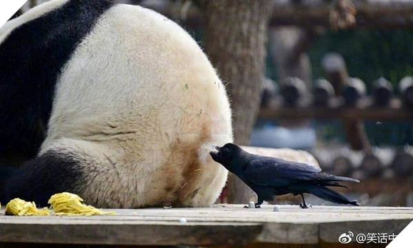 
Ủa sao ngồi im vậy? Vậy là cho hay không cho? Im lặng là cho đúng không? Mà thôi tranh thủ lấy rồi về không bạn lại đổi ý.