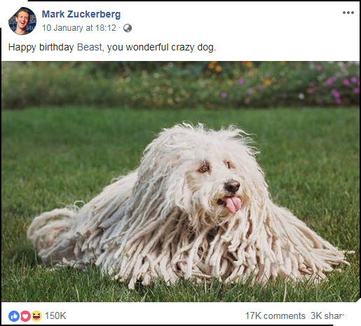 Facebook này kiếm 2 triệu Like chỉ nhờ vài ảnh chổi lau nhà mỗi năm, lý do đằng sau chẳng ai ngờ tới được - Ảnh 3.