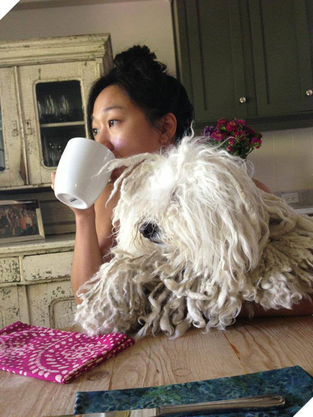 Facebook này kiếm 2 triệu Like chỉ nhờ vài ảnh chổi lau nhà mỗi năm, lý do đằng sau chẳng ai ngờ tới được - Ảnh 2.