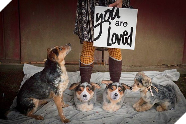 Những đ&#244;i d&#233;p b&#244;ng đi trong nh&#224; “g&#226;y l&#250;” cực độ cho người d&#249;ng v&#236; qu&#225; giống ch&#243; thật - Ảnh 11.