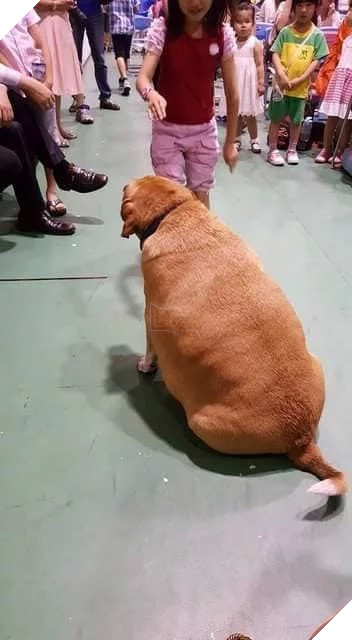 
"... nên giờ mình thành ra thế này đây."