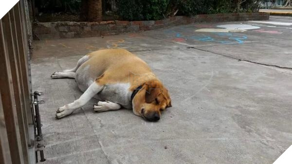 
"Không ăn vặt nhưng mà ngủ thì vẫn được đúng không nhỉ?"