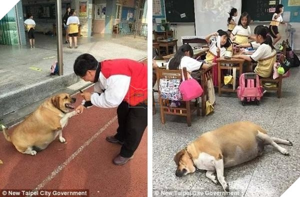 
"Mình được cho ăn, ăn xong mình lại ngủ..."