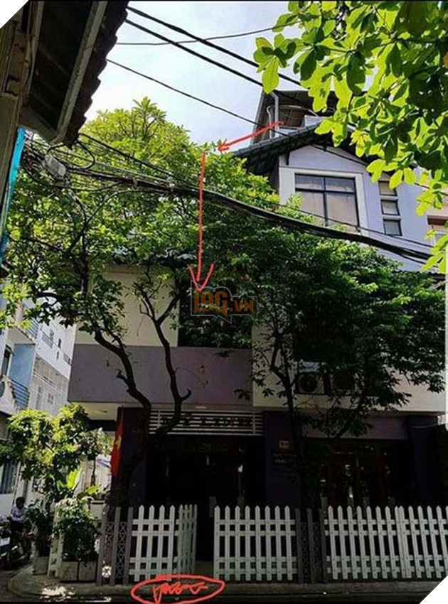 Bi sen nhot khong cho di choi, thanh nien Husky quyet dinh nhay tu lau 3 tron ra ngoai 3 Bị sen nhốt không cho đi chơi, thanh niên Husky quyết định nhảy từ lầu 3 trốn ra ngoài 3