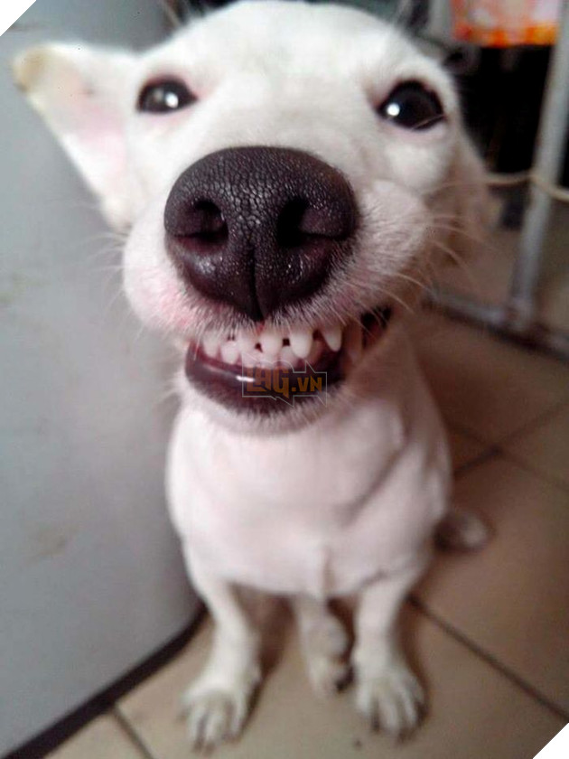 NHUNG bestie nhung dieu kieng ki va diem lanh dau nam moi