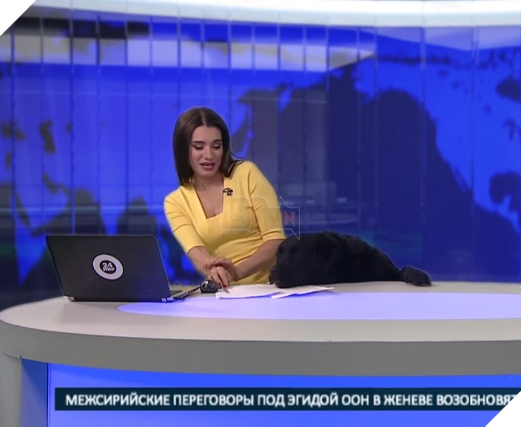 Thản nhiên xông vào trường quay truyền hình trực tiếp, đây chính là chú chó nổi nhất đêm nay 2