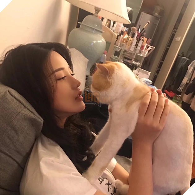 Lúc nhà nuôi chó mèo cũng là giây phút bạn phải tự đặt câu hỏi: Mình có phải con đẻ hay không? - Ảnh 2. Lúc nhà nuôi chó mèo cũng là giây phút bạn phải tự đặt câu hỏi: Mình có phải con đẻ hay không? - Ảnh 2.