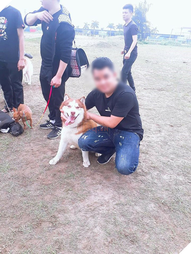 Mới quen được 1 tháng, cô gái đã bị người yêu bắt mất 4 chú chó khi đòi không được còn bị dọa tung clip nóng 3