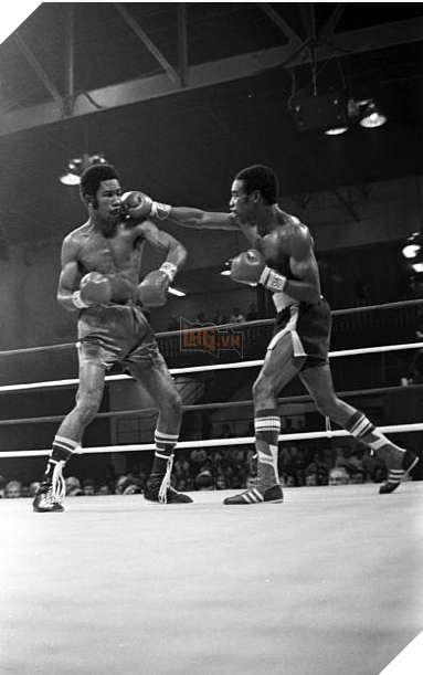 Boxer Rocky Lockridge nguoi da tao ra Meme noi tieng nhat the gioi qua doi o tuoi 60 Rocky Lockridge (R) lands a punch against Eusebio Pedroza. Credit: Getty