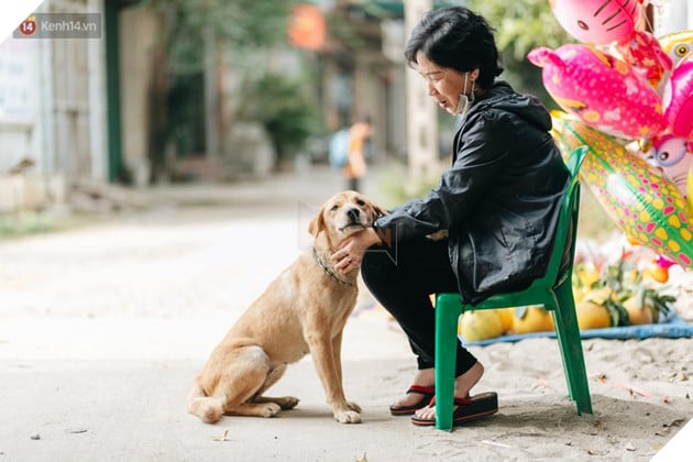 Về thăm ngôi làng ở Hà Nội ăn cả tấn thịt chó vào mùng 4 Tết hàng năm: Không ép bất cứ ai nếu họ không muốn ăn 11