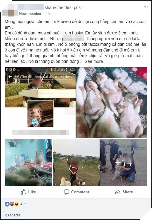 Mới quen được 1 tháng, cô gái đã bị người yêu bắt mất 4 chú chó khi đòi không được còn bị dọa tung clip nóng