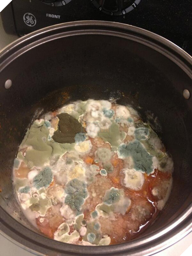 [Vui] Đây chính là hình ảnh nhà cửa của những kẻ lười biếng dọn dẹp - Ảnh 3.