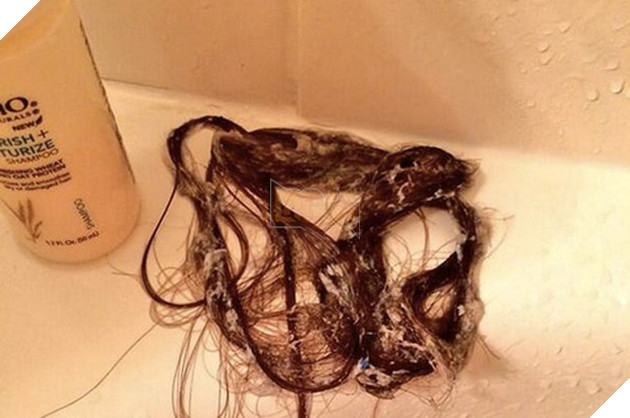 [Vui] Đây chính là hình ảnh nhà cửa của những kẻ lười biếng dọn dẹp - Ảnh 6.