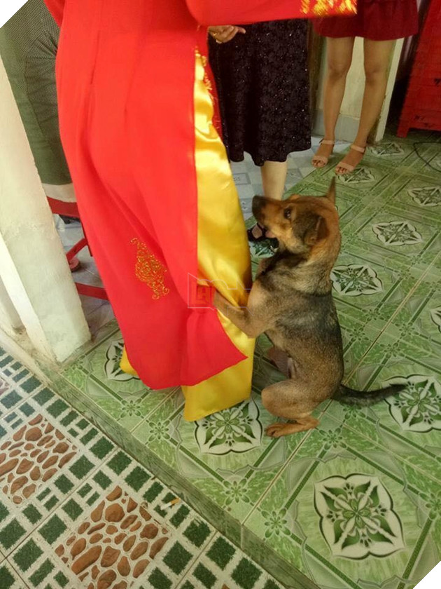 Chị lấy chồng rồi em ở với ai
Chị lấy chồng rồi em ở với ai