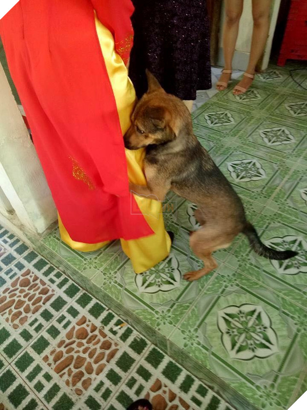 "Chị ơi, đừng đi mà ở lại với em"
"Chị ơi, đừng đi mà ở lại với em"