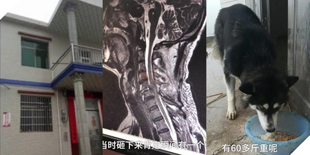 Xa nhau hơi lâu, boss ngáo nhảy một phát từ tầng 2 xuống đón khiến sen gẫy cổ - Ảnh 1.