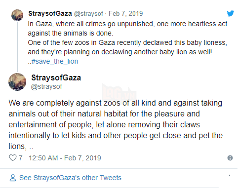 Cắt hết móng sư tử để trẻ em có thể chơi cùng, ban quản lý sở thú bị chỉ trích dữ dội - Ảnh 3.