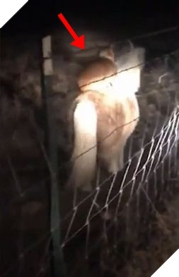 
Quay ngoắt đi như không mấy quan tâm.