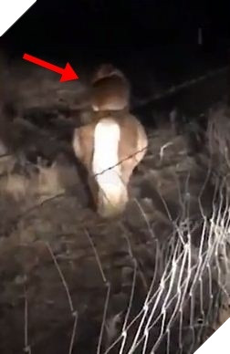 
Cả hai tiếp tục cuộc rong chơi lúc nửa đêm.