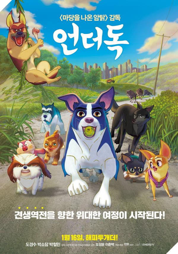 Thị trưởng Seoul đưa ra tuyên bố chính thức: ‘Sẽ đóng cửa tất cả các lò giết thịt chó ở đây’ 5