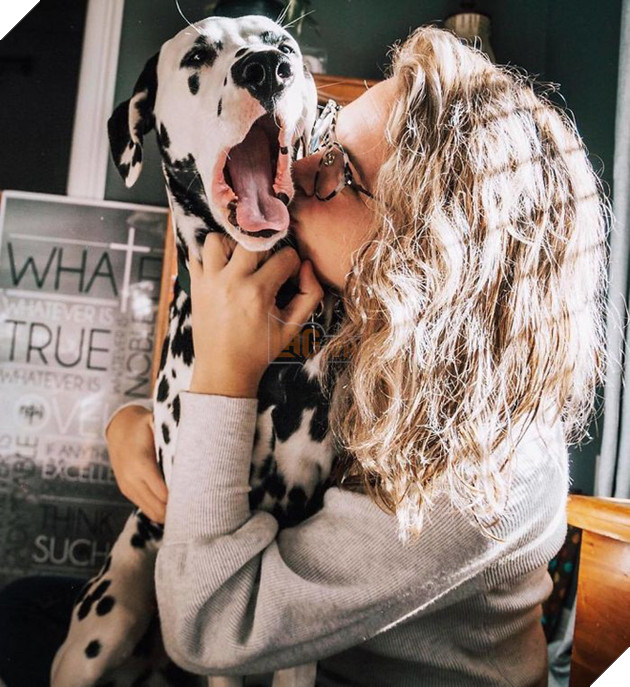 Ch&#250; ch&#243; đốm trở th&#224;nh ng&#244;i sao Instagram nhờ chiếc mũi h&#236;nh tr&#225;i tim độc nhất v&#244; nhị - Ảnh 5.