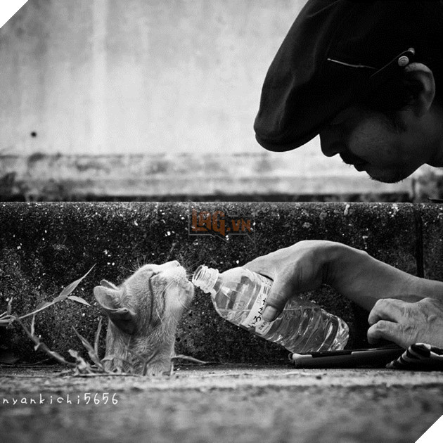 
Tất nhiên là sự thuyết phục có đi kèm với đồ ăn thức uống để hối lộ nữa.