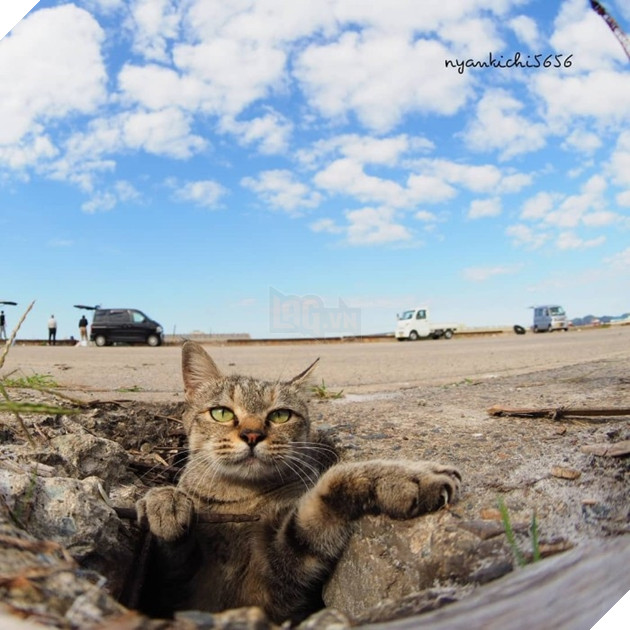 
“Đồ ăn của trẫm đâu, mau mau đưa ra đây!”