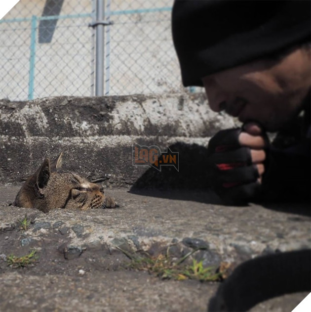 
Tò mò, anh lại gần xem thử thì phát hiện ra đó chính là những con mèo đang chơi trò trốn tìm ở bên dưới đó.