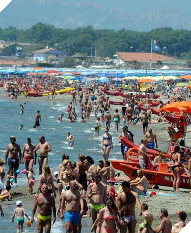 chú chó tim chủ sau 3 năm và 600km