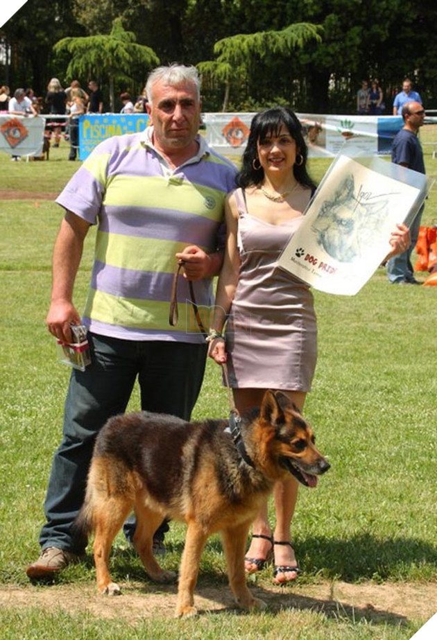 chú chó tim chủ sau 3 năm và 600km