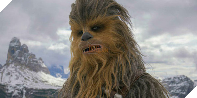 Top 8 điều thú vị về chú mèo Goose của Captain Marvel