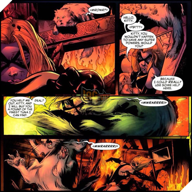 Top 8 điều thú vị về chú mèo Goose của Captain Marvel 3