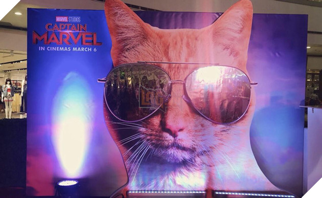 Top 8 điều thú vị về chú mèo Goose của Captain Marvel 8