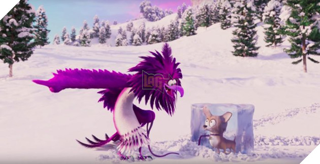 Mặc chủ háo hức, chú cún vẫn bất động