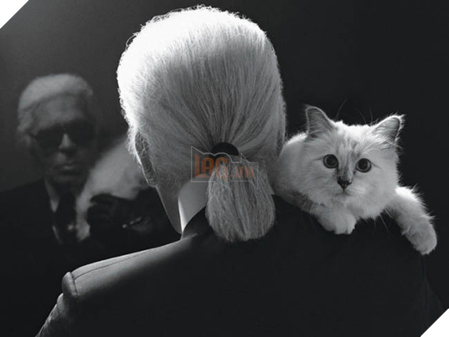 Co meo cua huyen thoai Karl Lagerfeld se la “em boss” giau nhat the gioi voi 4600 ty? 3 Cô mèo của huyền thoại Karl Lagerfeld sẽ là “em boss” giàu nhất thế giới với 4600 tỷ? 3