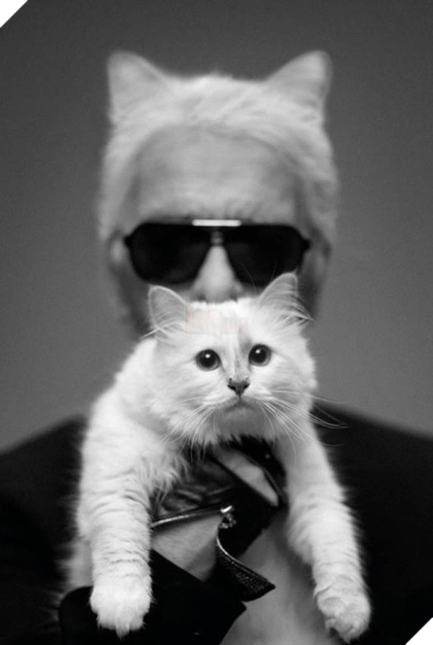 Co meo cua huyen thoai Karl Lagerfeld se la “em boss” giau nhat the gioi voi 4600 ty? Cô mèo của huyền thoại Karl Lagerfeld sẽ là “em boss” giàu nhất thế giới với 4600 tỷ?